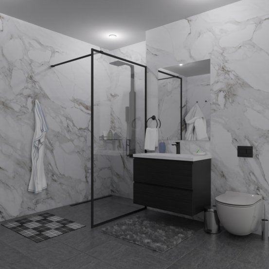 Душевая перегородка SHOWER GLASS GK-24-10мм