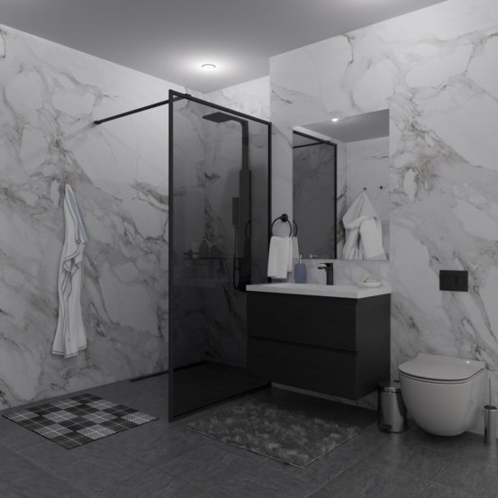 Душевая перегородка SHOWER GLASS GK-24-8мм