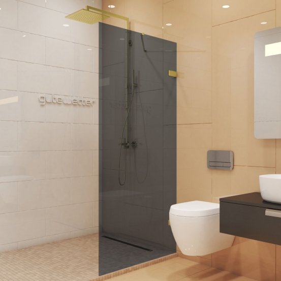 TREND DOOR GK-861NA золотой металлик стекло графитовое