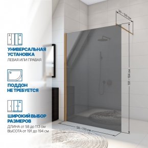 Инфографика 2 WALK-IN P006STB бронзовый стекло графитовое