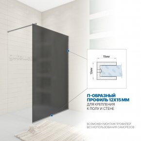 Инфографика 3 WALK-IN P008STB хром матовый стекло графитовое матовое