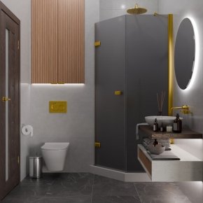 TREND DOOR GK-862BGP135 золотой металлик стекло графитовое матовое #4