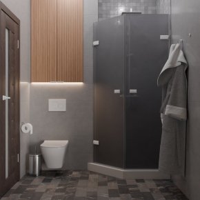 TREND DOOR GK-862G135C белый матовый стекло графитовое матовое #4