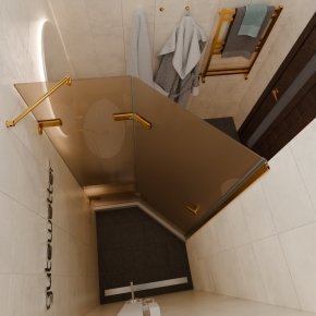 TREND DOOR GK-862AG135ONE-01 золотой металлик стекло бронзовое матовое #3