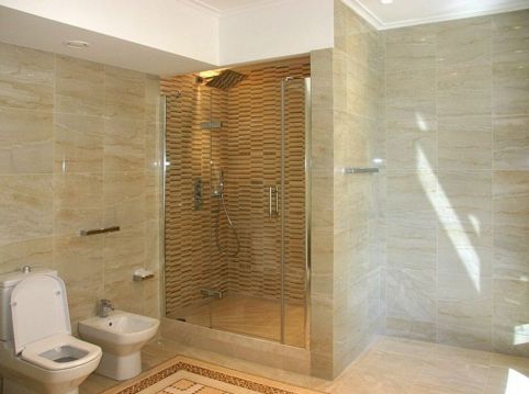 Дверь в душевую нишу TREND DOOR GK-863P